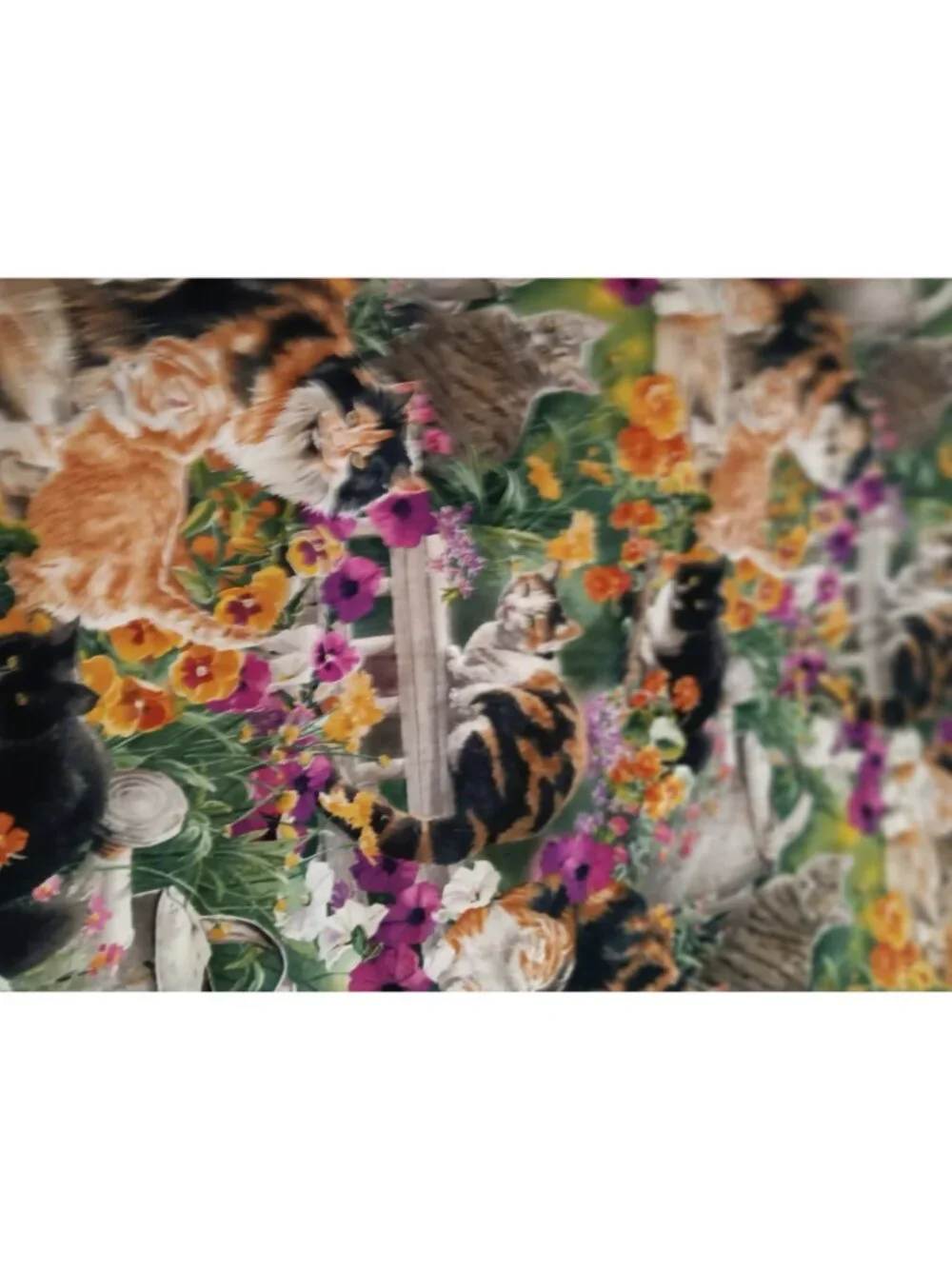 Garden Cats Window Curtain 40